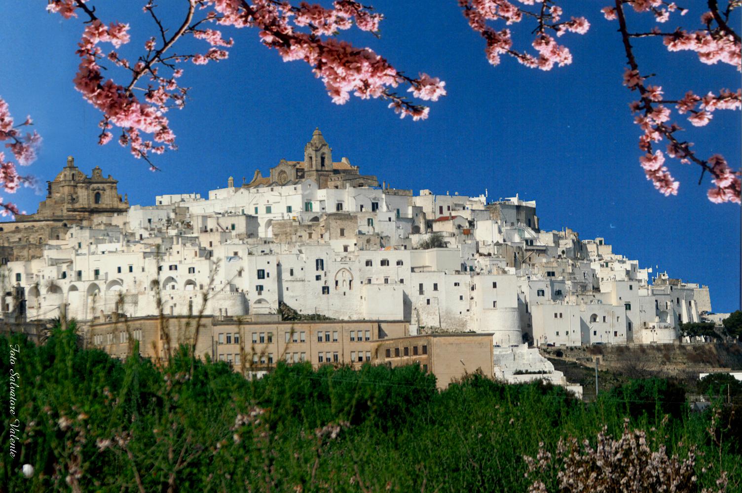 Home case vacanze in puglia Affitti low cost